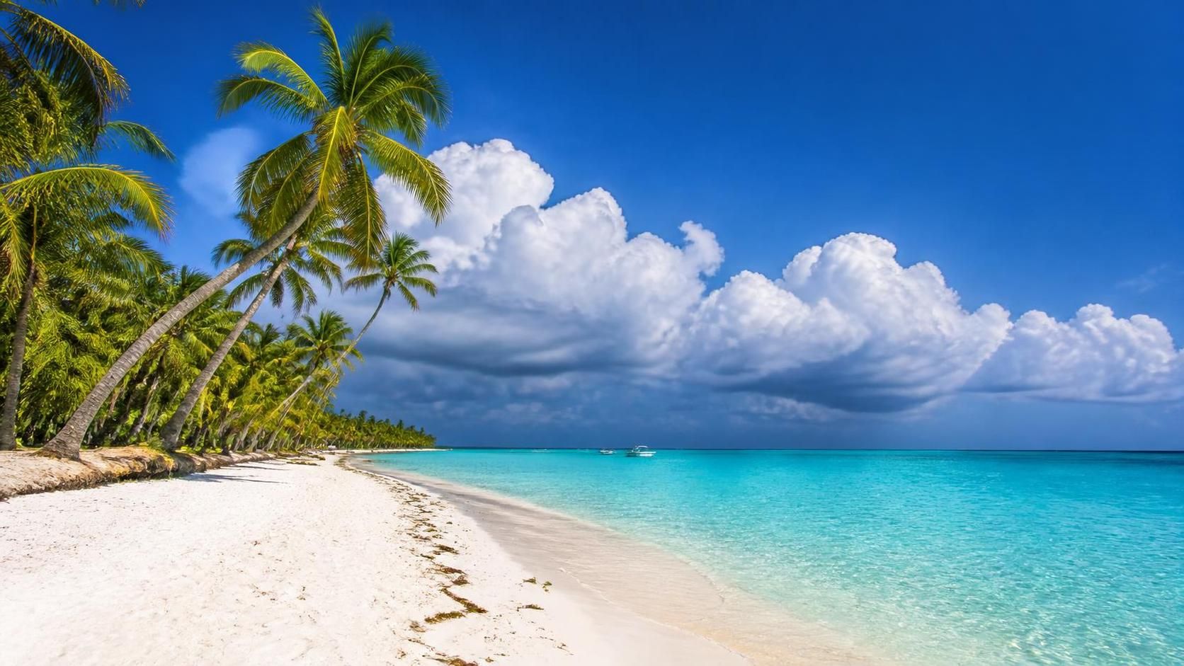 découvrez la république dominicaine en août : explorez sa riche culture, profitez d'un climat idéal et vivez des activités inoubliables pour des vacances mémorables.