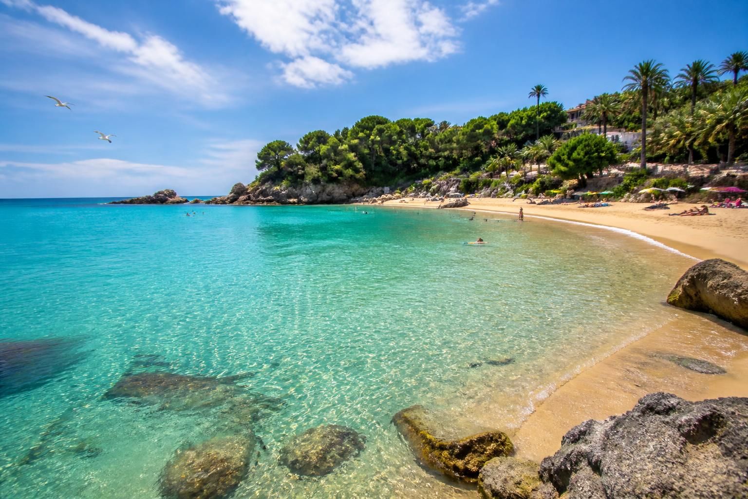 découvrez la plage de canella, un véritable paradis pour la baignade et la détente, où eaux cristallines et ambiance paisible vous attendent pour un moment inoubliable.