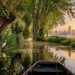 explorez les trésors naturels du marais poitevin : canaux paisibles, faune remarquable et paysages préservés au cœur de la venise verte.