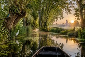 À la découverte des trésors naturels du Marais Poitevin